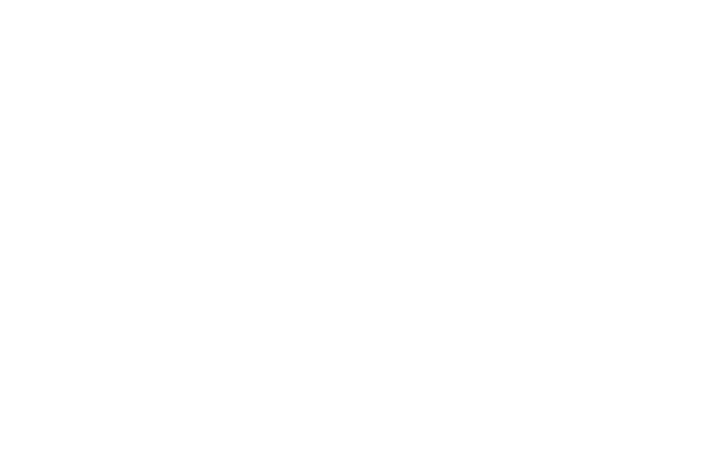 Fors Anteks